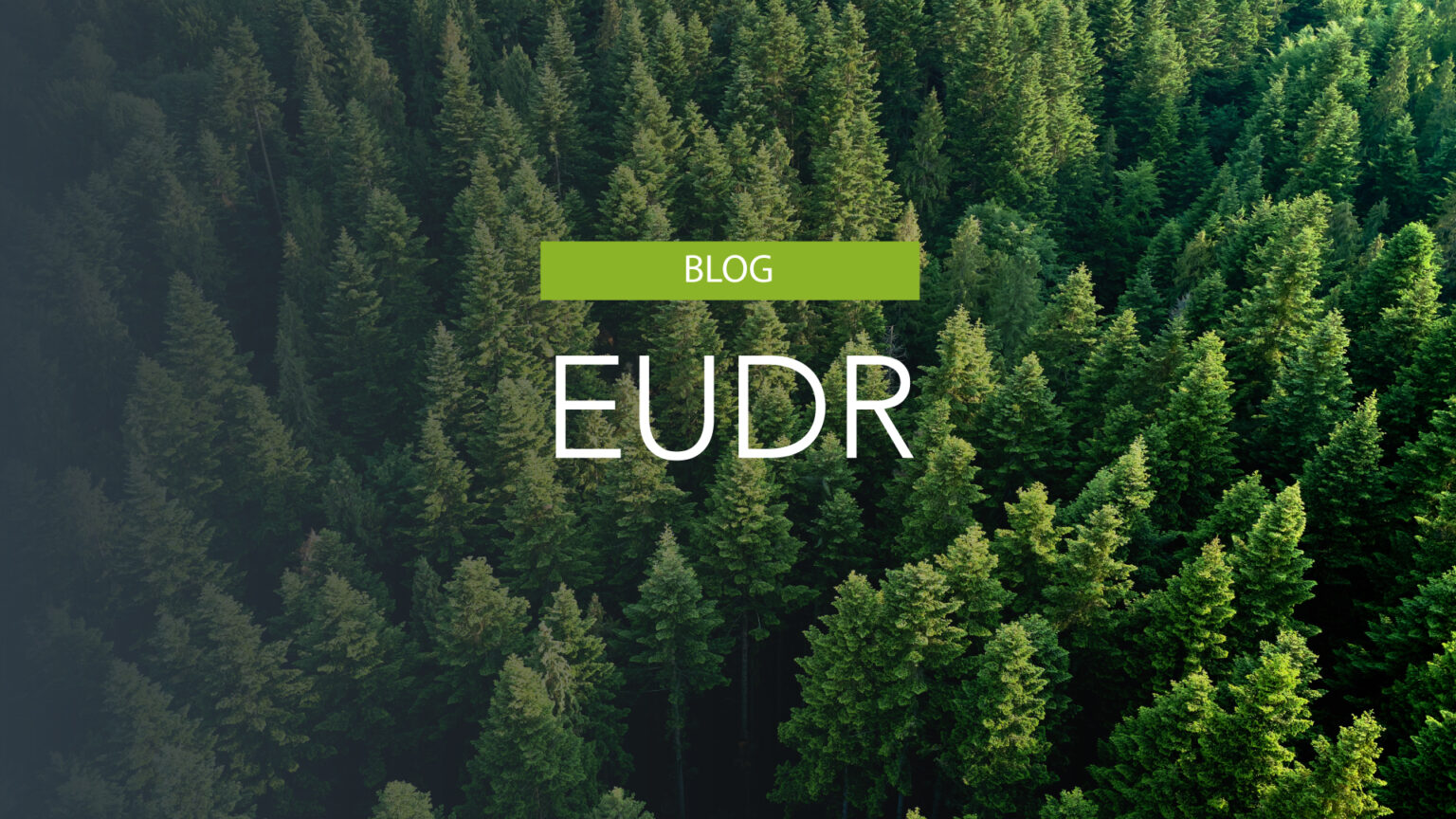 Eudr Eu Deforestation Regulation Timbertec Eudr Eu Deforestation Regulation Timbertec